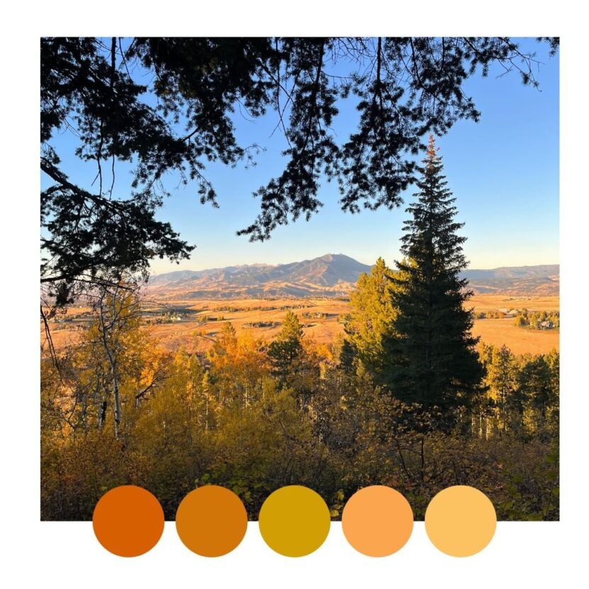 Color Palettes Inspired By Montana - Lucky Bee Creative Studio